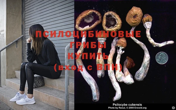 эйфоретик Богородицк
