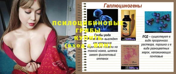 не бодяженный Богданович